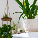 Apartment My *