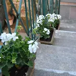 My Apartment Sorrento