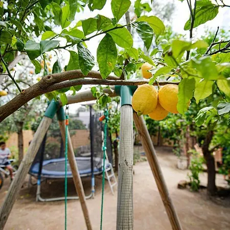 Apartment My Sorrento