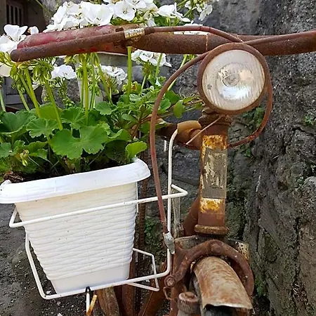 My Apartmán *