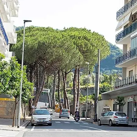 My Sorrento