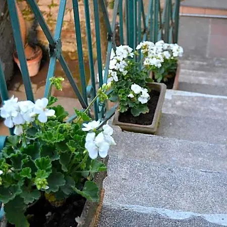 My Sorrento
