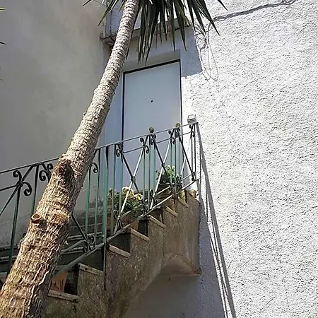 My Apartment