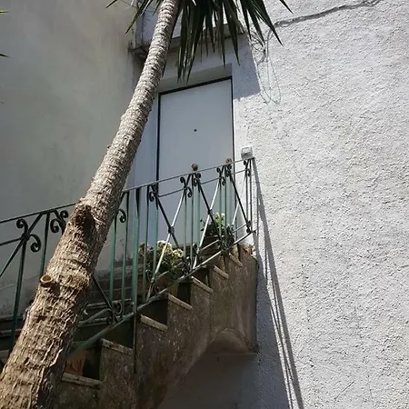 My Sorrento