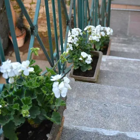 My Apartment Sorrento